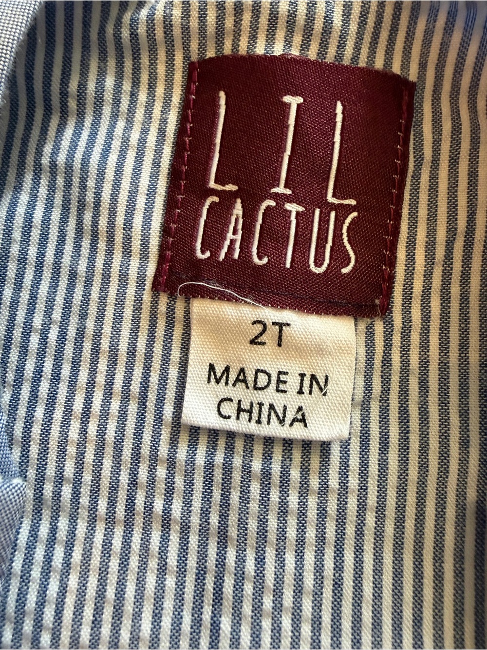 Lil Cactus Embroidered Train Overalls for Boys 2T - Picture 8 of 8
